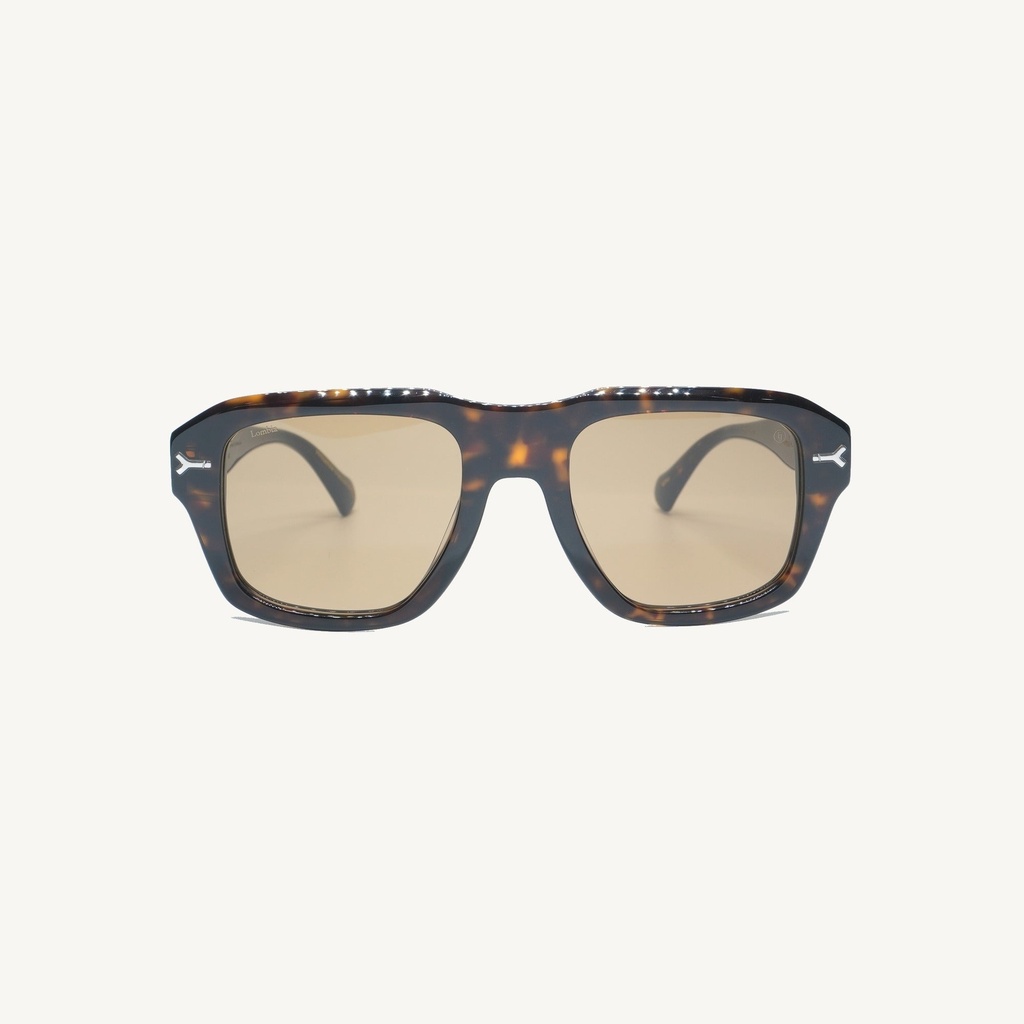 WITAC02_TORTOISE_SUN - Supplier Image 1