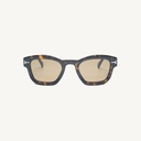 PONIDOC02_TORTOISE_SUN - Supplier Image 1