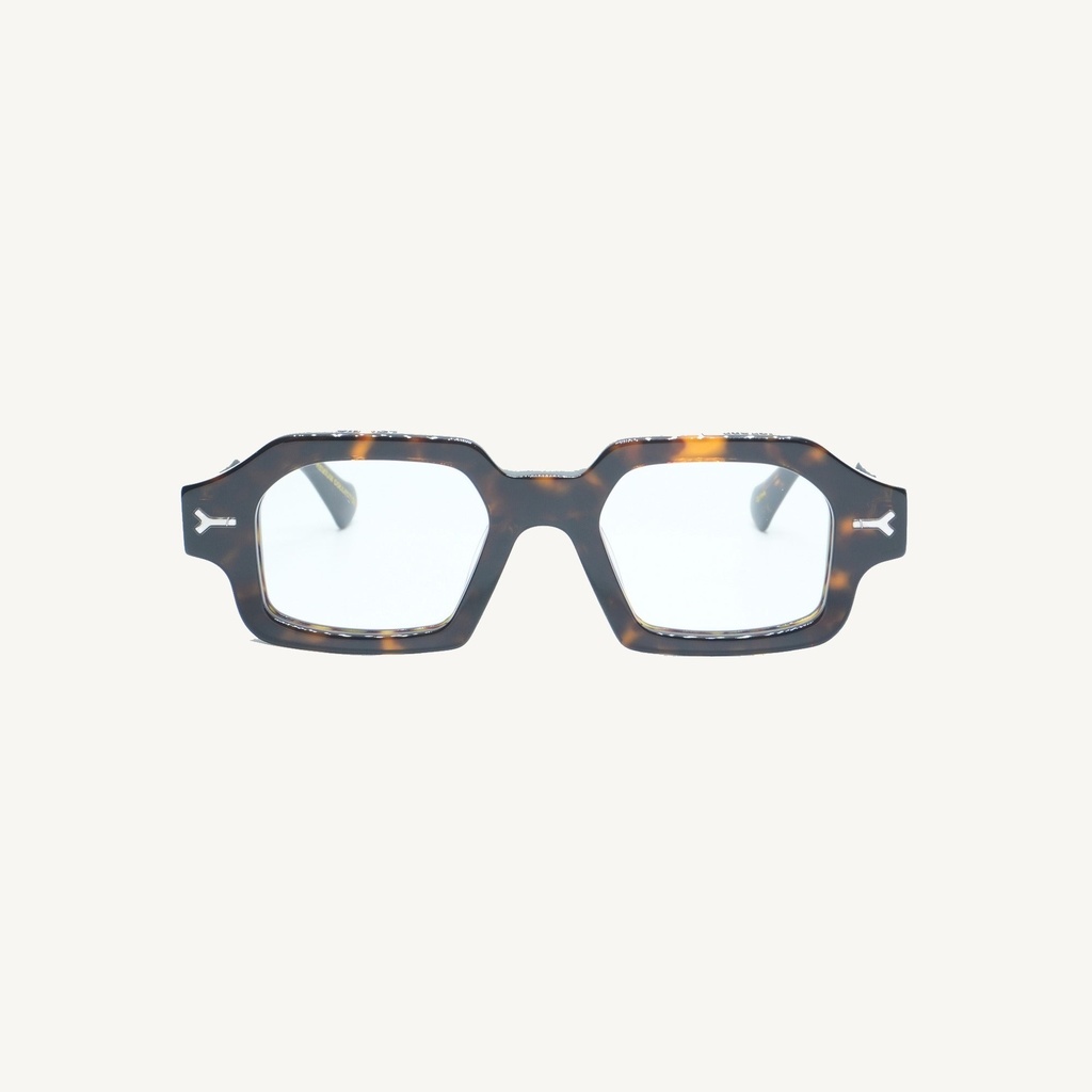 ERINSC02_TORTOISE_OPT