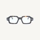ERINSC02_TORTOISE_OPT