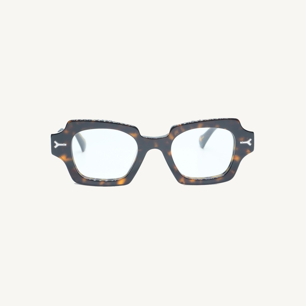 NCEDOC02_TORTOISE_OPT