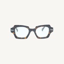 NCEDOC02_TORTOISE_OPT