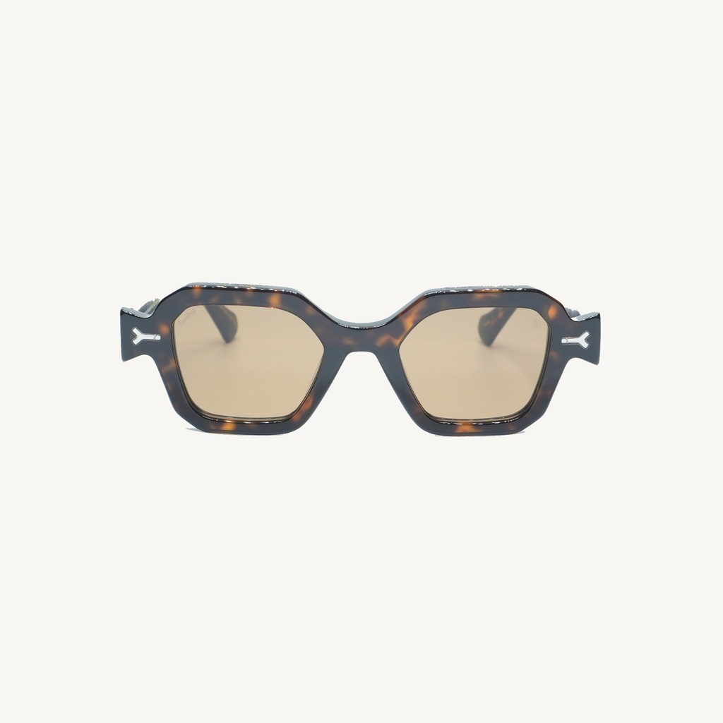 PULEC02_TORTOISE_SUN