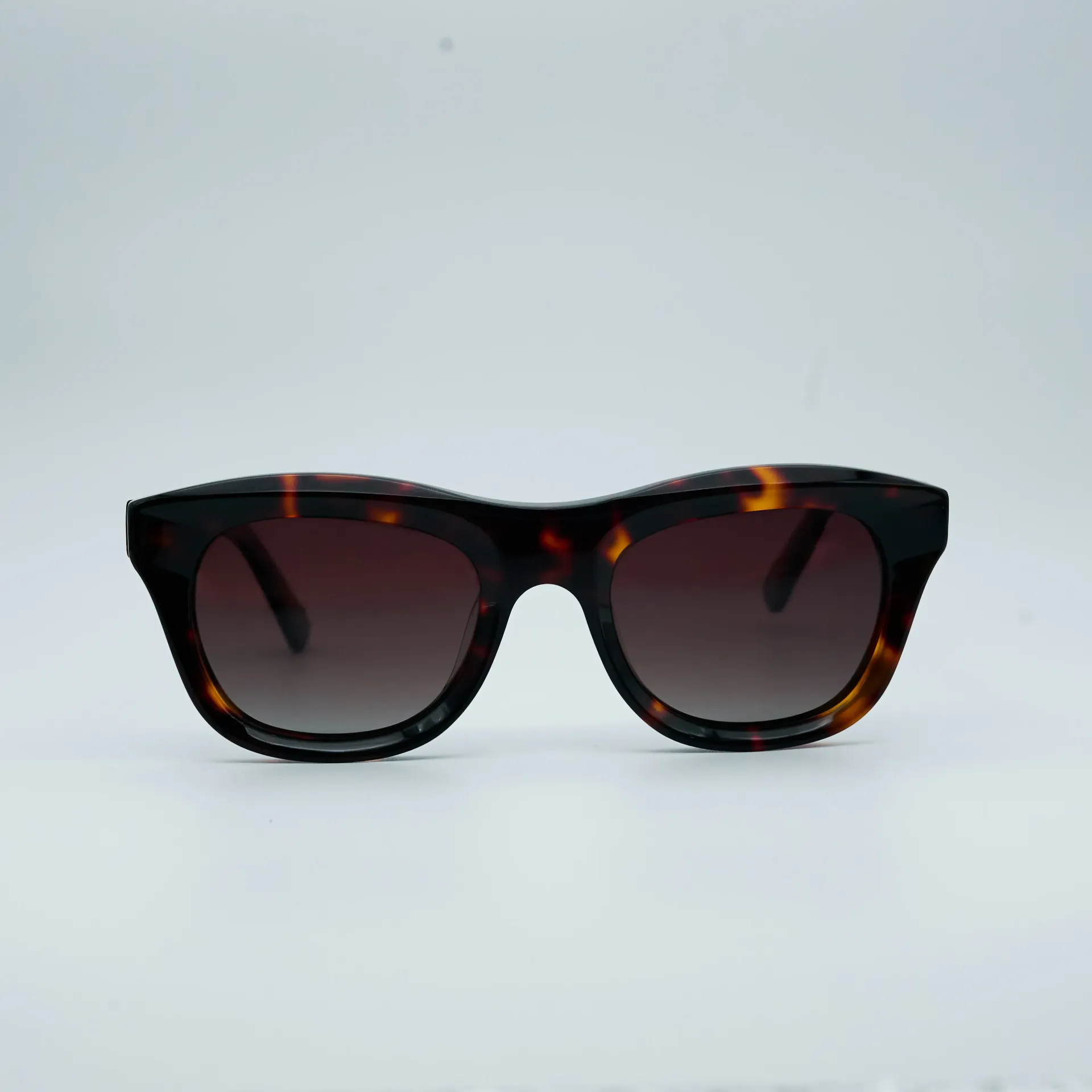 [882271SC02] 882271SC02_SUN 49 TORTOISE